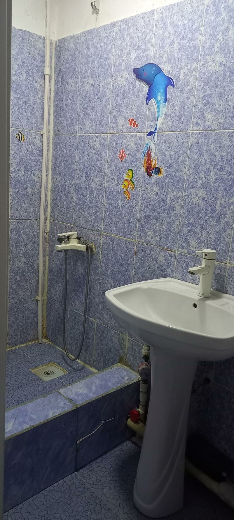 SATLYK JAÝ - Дашогуз - img 2