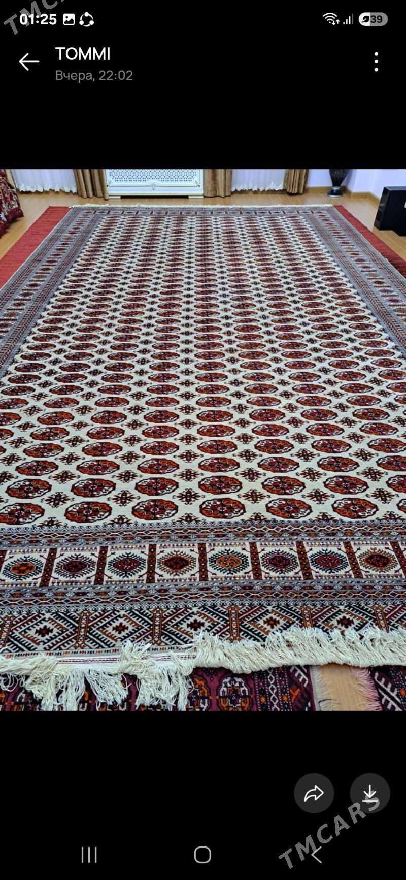 El Haly - 14 этап - Элитки (Улица Совхозная) - img 4