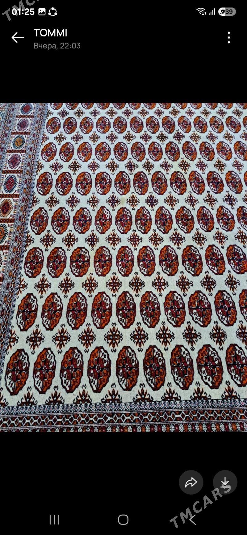 El Haly - 14 этап - Элитки (Улица Совхозная) - img 2