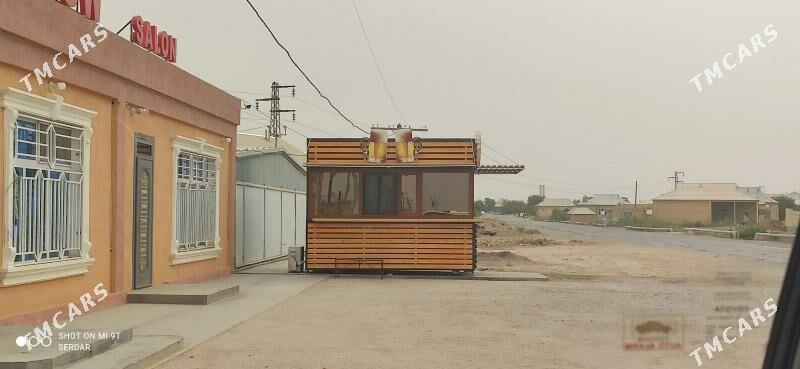 Agac Butga Taze gornush - Mary - img 4