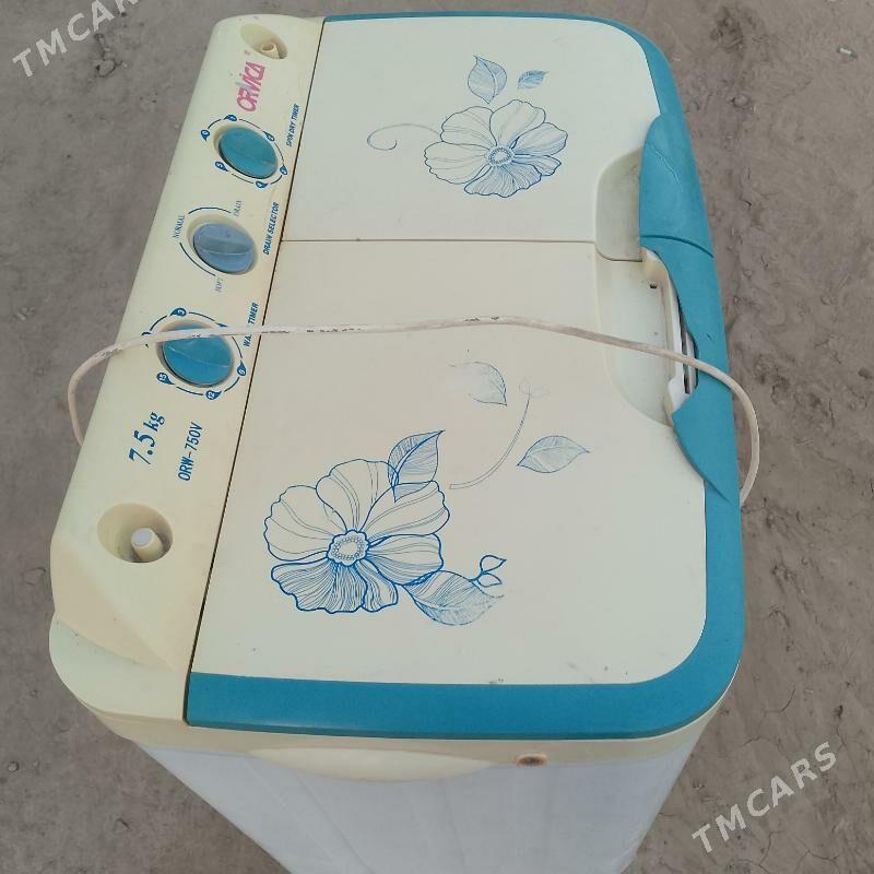 kir masyn - Murgap - img 3