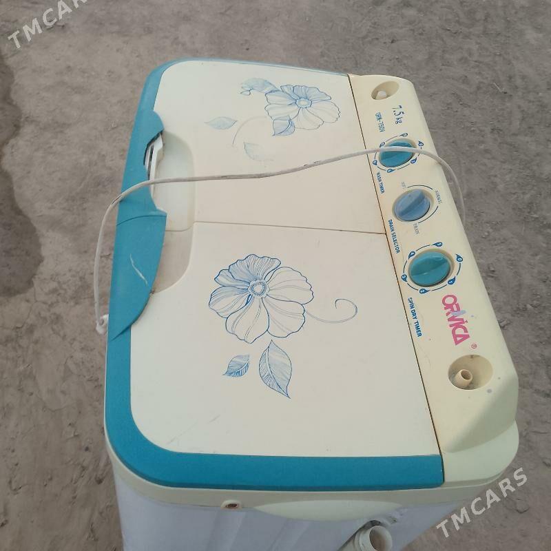 kir masyn - Murgap - img 2