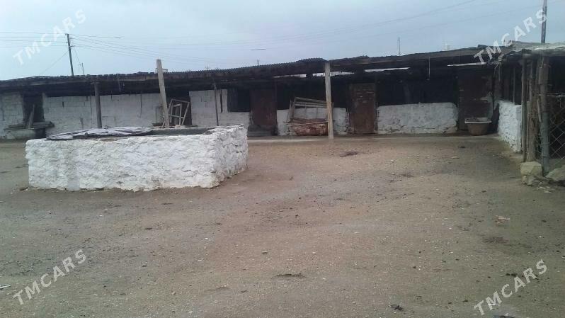 Arbita Daça Арбита Дача - Balkanabat - img 3