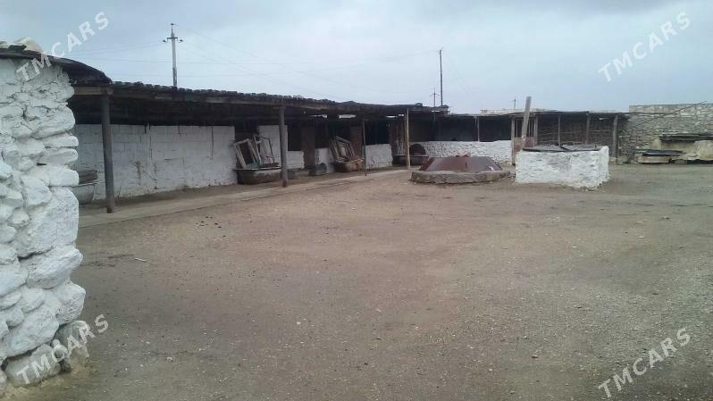 Arbita Daça Арбита Дача - Balkanabat - img 4