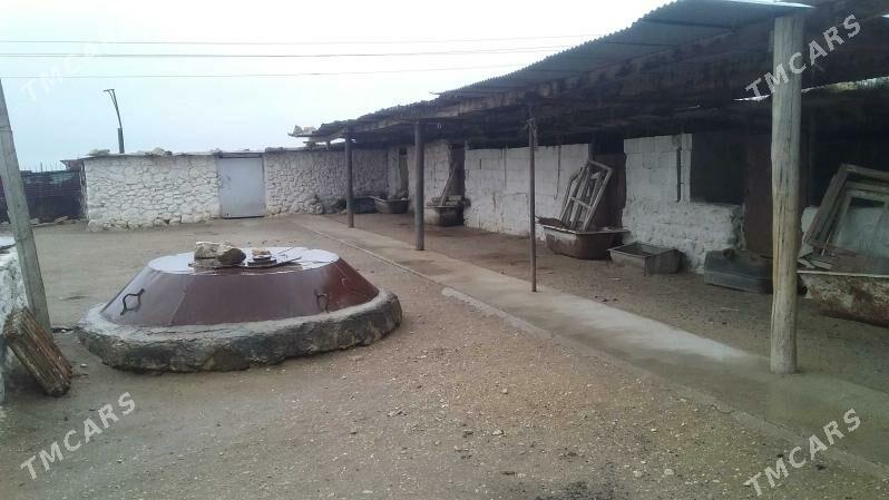 Arbita Daça Арбита Дача - Balkanabat - img 8