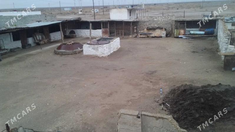 Arbita Daça Арбита Дача - Balkanabat - img 5