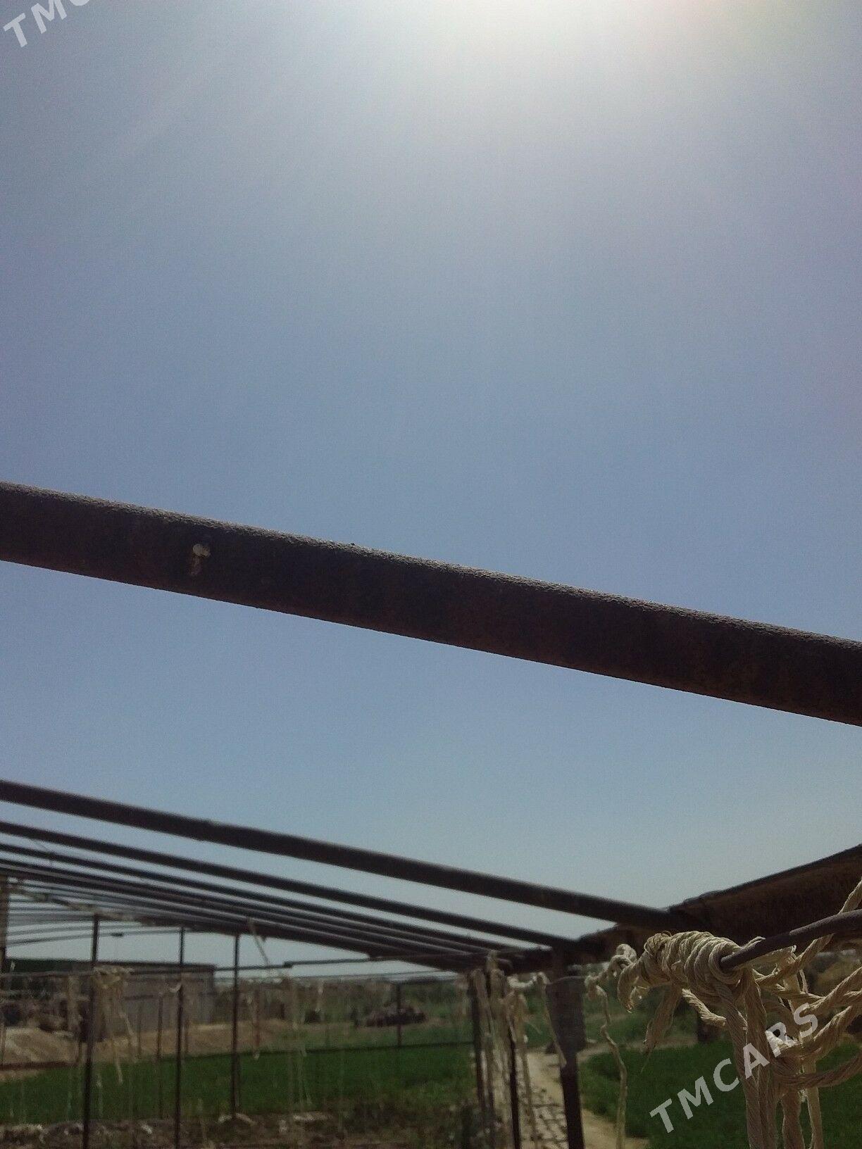 Parnyk ýyladyşhana - Мургап - img 4