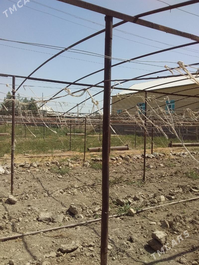 Parnyk ýyladyşhana - Мургап - img 3