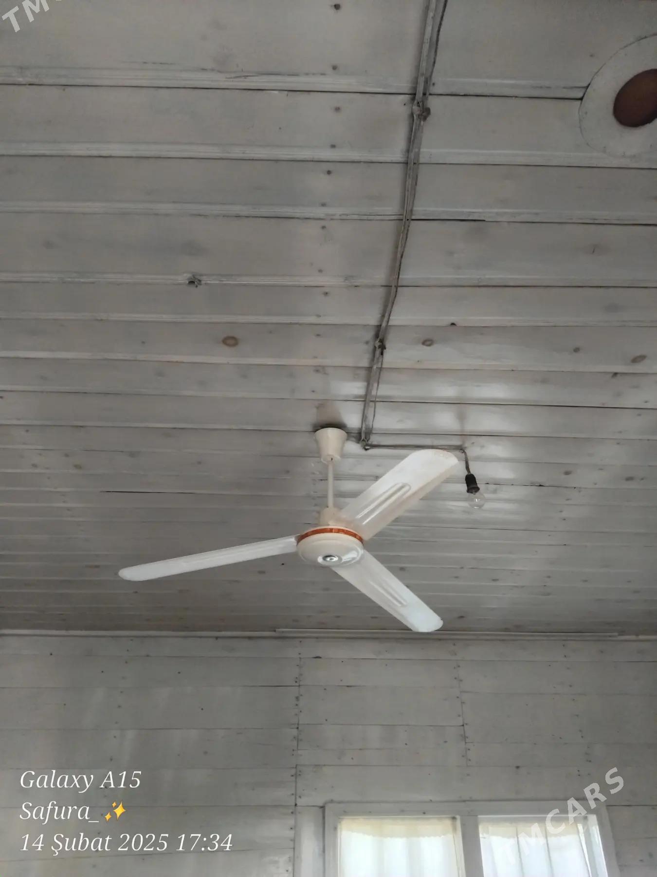 satlyk jay - Esenguly - img 4