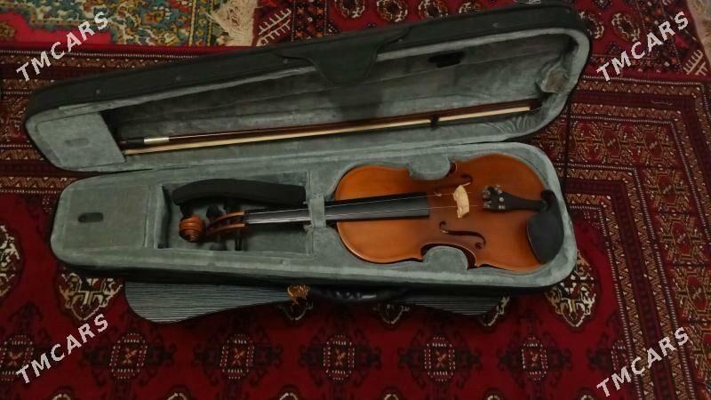 Skripka 4/4 - 5 мкр - img 1