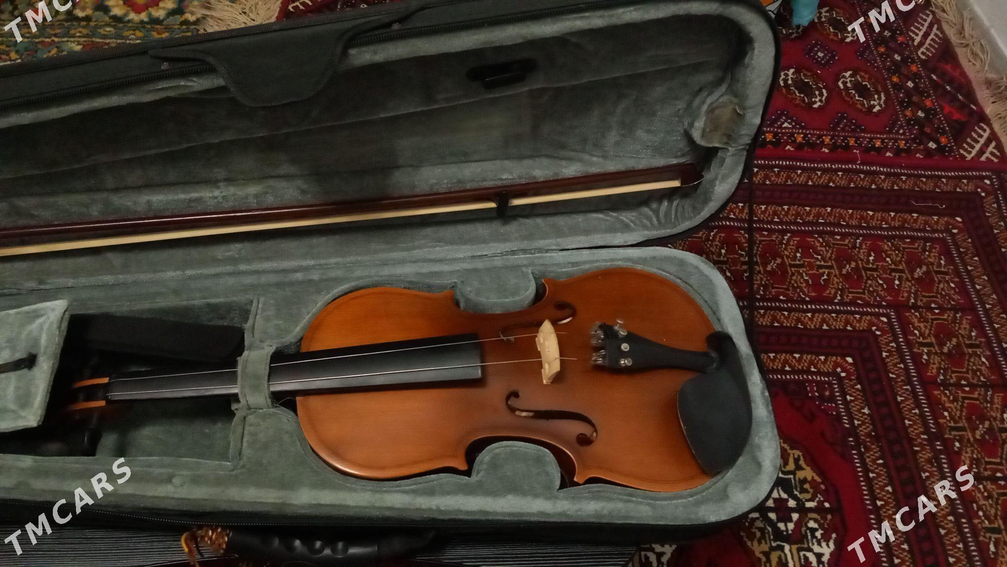 Skripka 4/4 - 5 мкр - img 2