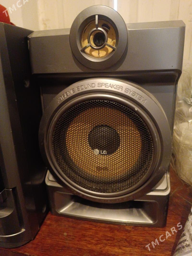 sentir kalonka - Sakarçäge - img 2