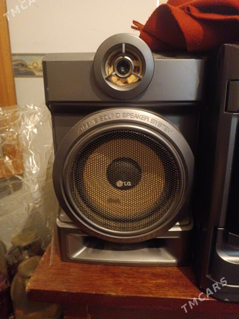 sentir kalonka - Sakarçäge - img 3