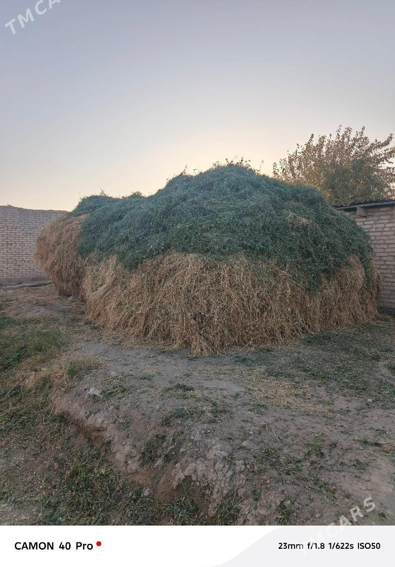 ot yorunja - Векильбазар - img 3