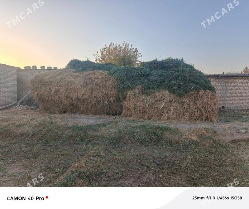 ot yorunja - Векильбазар - img 2