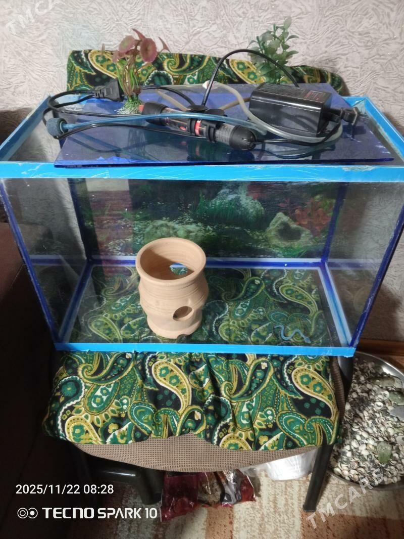 Аквариум - 30 mkr - img 2