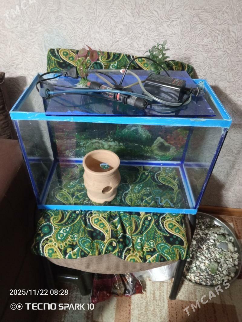 Аквариум - 30 mkr - img 3