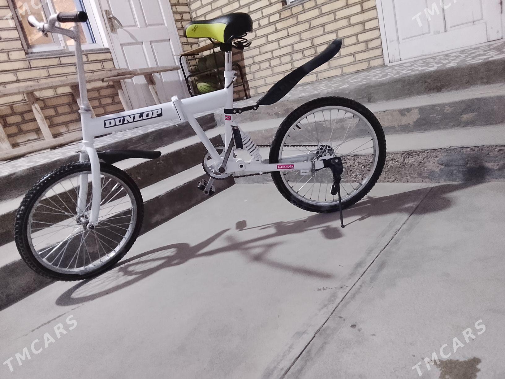 kama welsapet - Sakarçäge - img 3