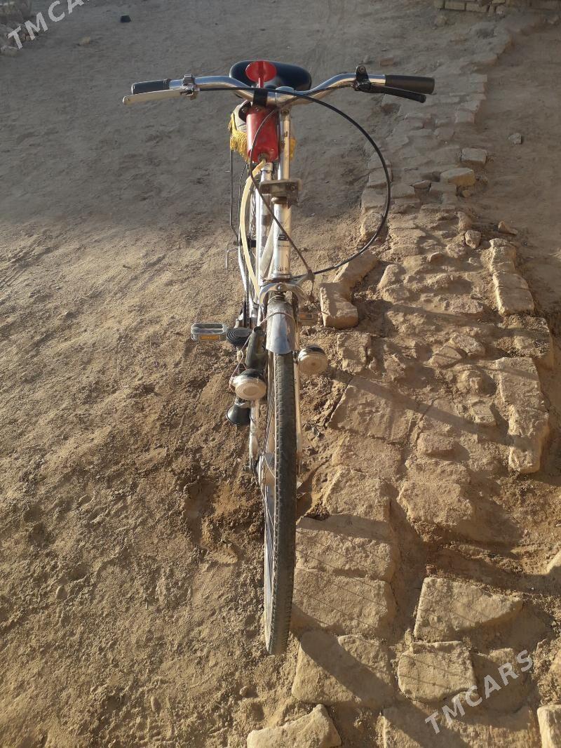 welsapet 27lik - Туркменгала - img 3