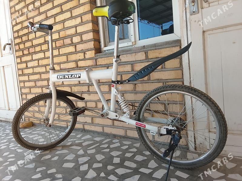 kama welsapet - Sakarçäge - img 2