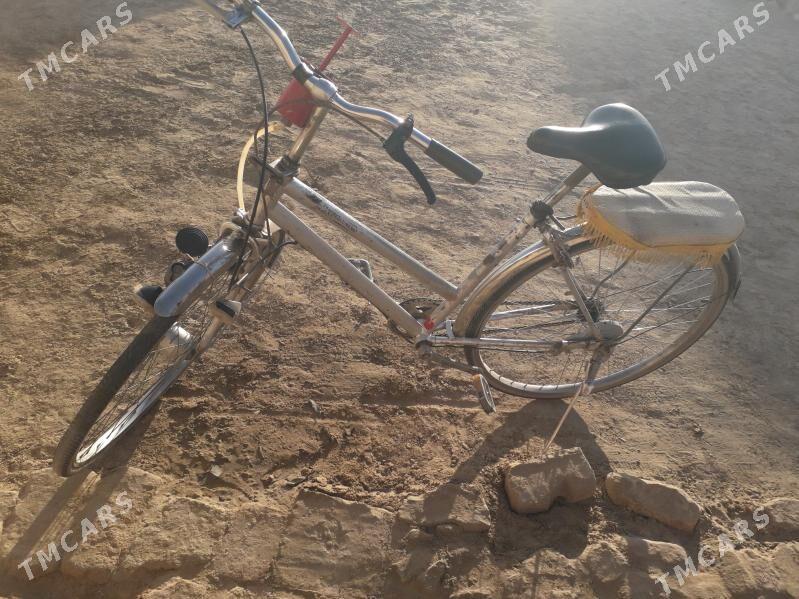 welsapet 27lik - Туркменгала - img 4