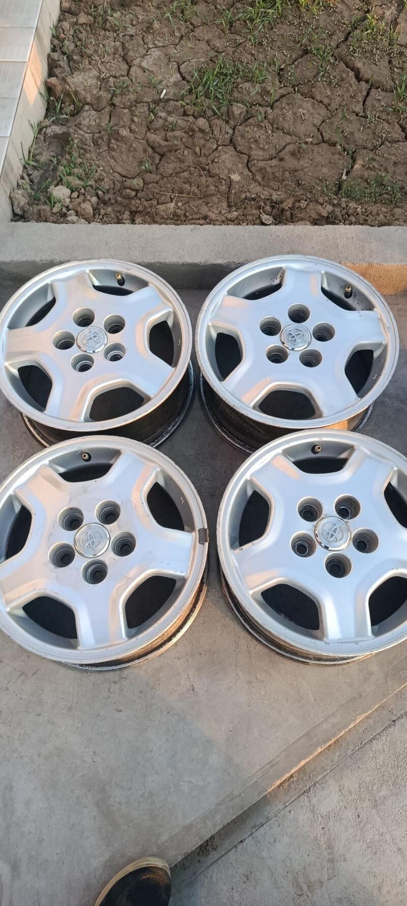 15lik diska 1 800 TMT - Mary - img 4