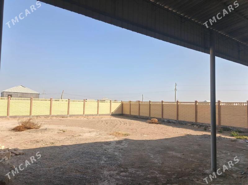 Satlyk Jay - Байрамали - img 5