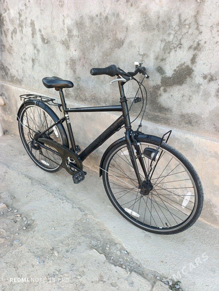 28 Tigir velik - Mary - img 4