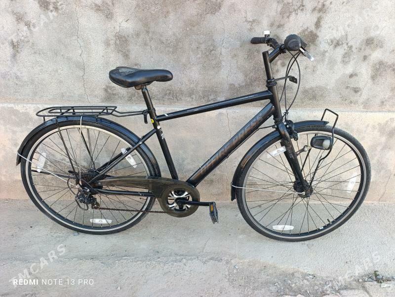 28 Tigir velik - Mary - img 2