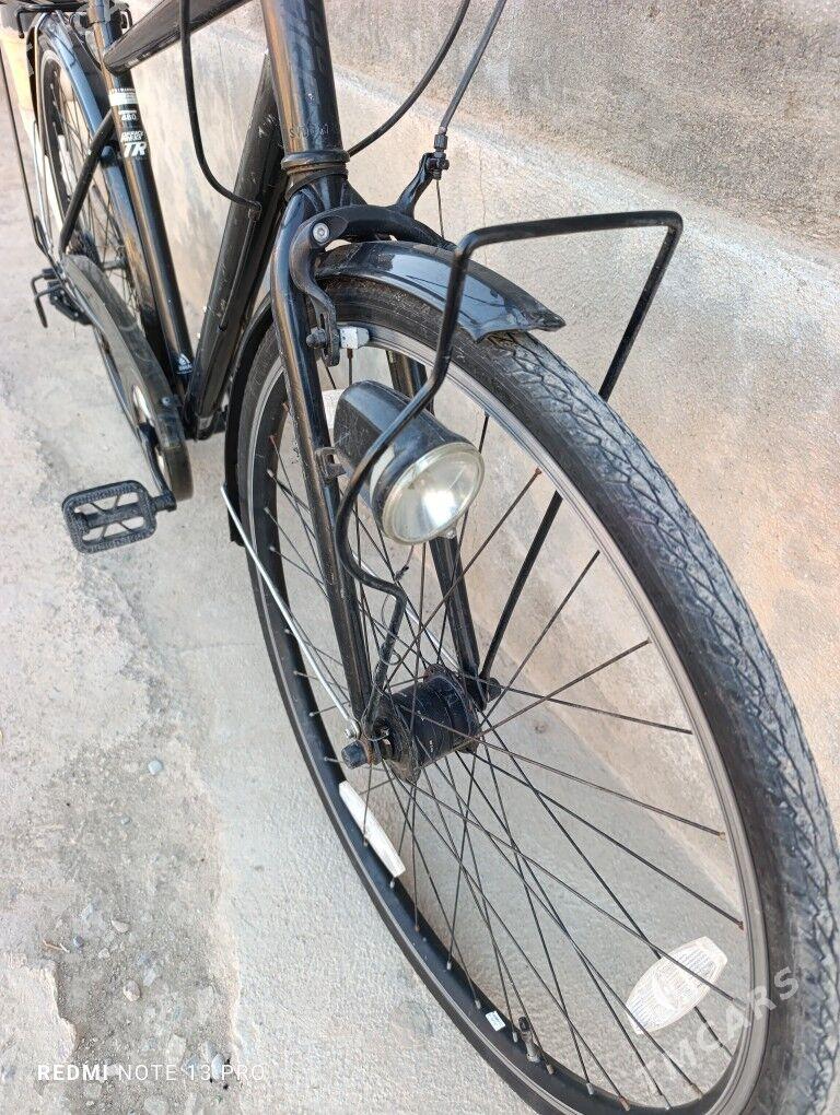 28 Tigir velik - Mary - img 5