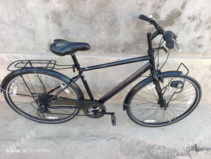 28 Tigir velik - Mary - img 7