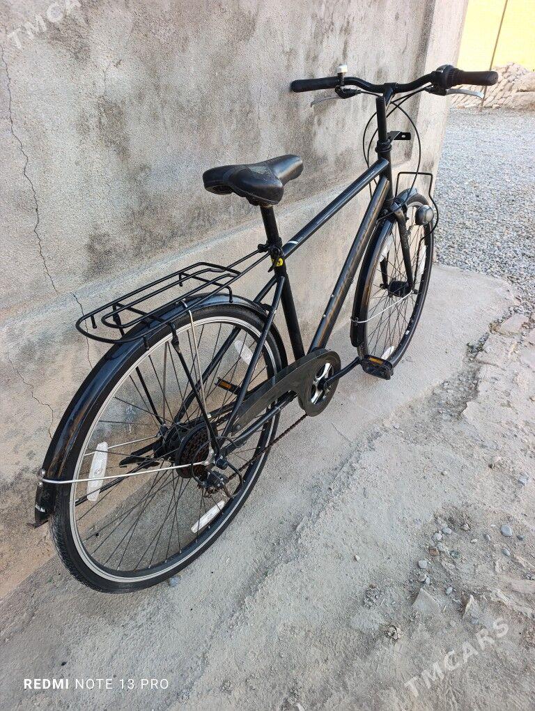 28 Tigir velik - Mary - img 6