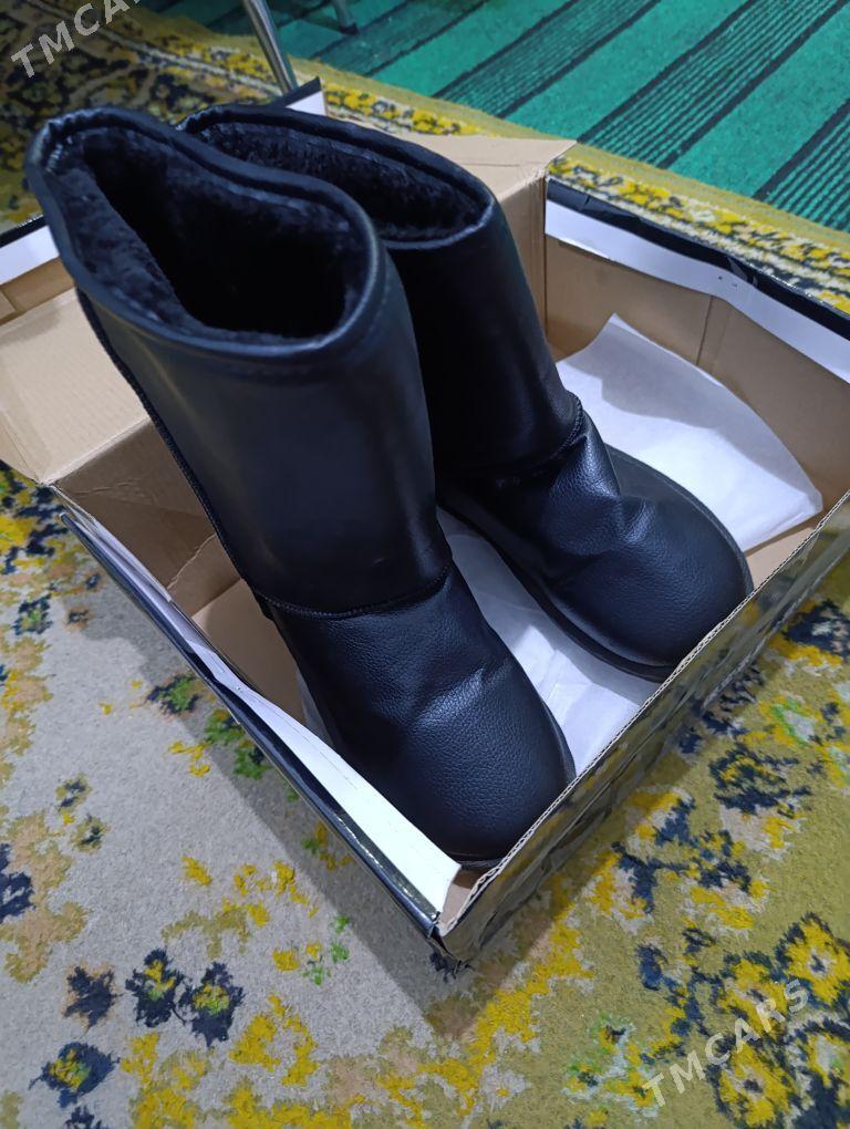 adik - Daşoguz - img 2