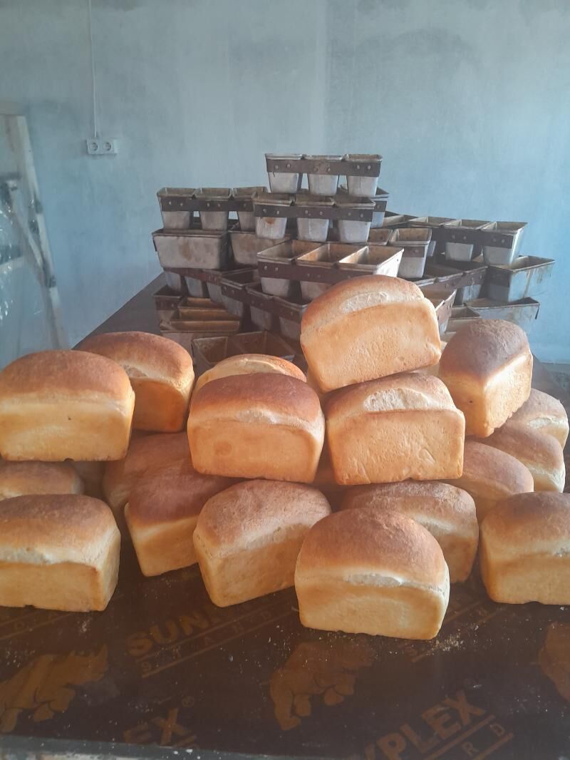 BUHANKA PEJ - Gumdag - img 9