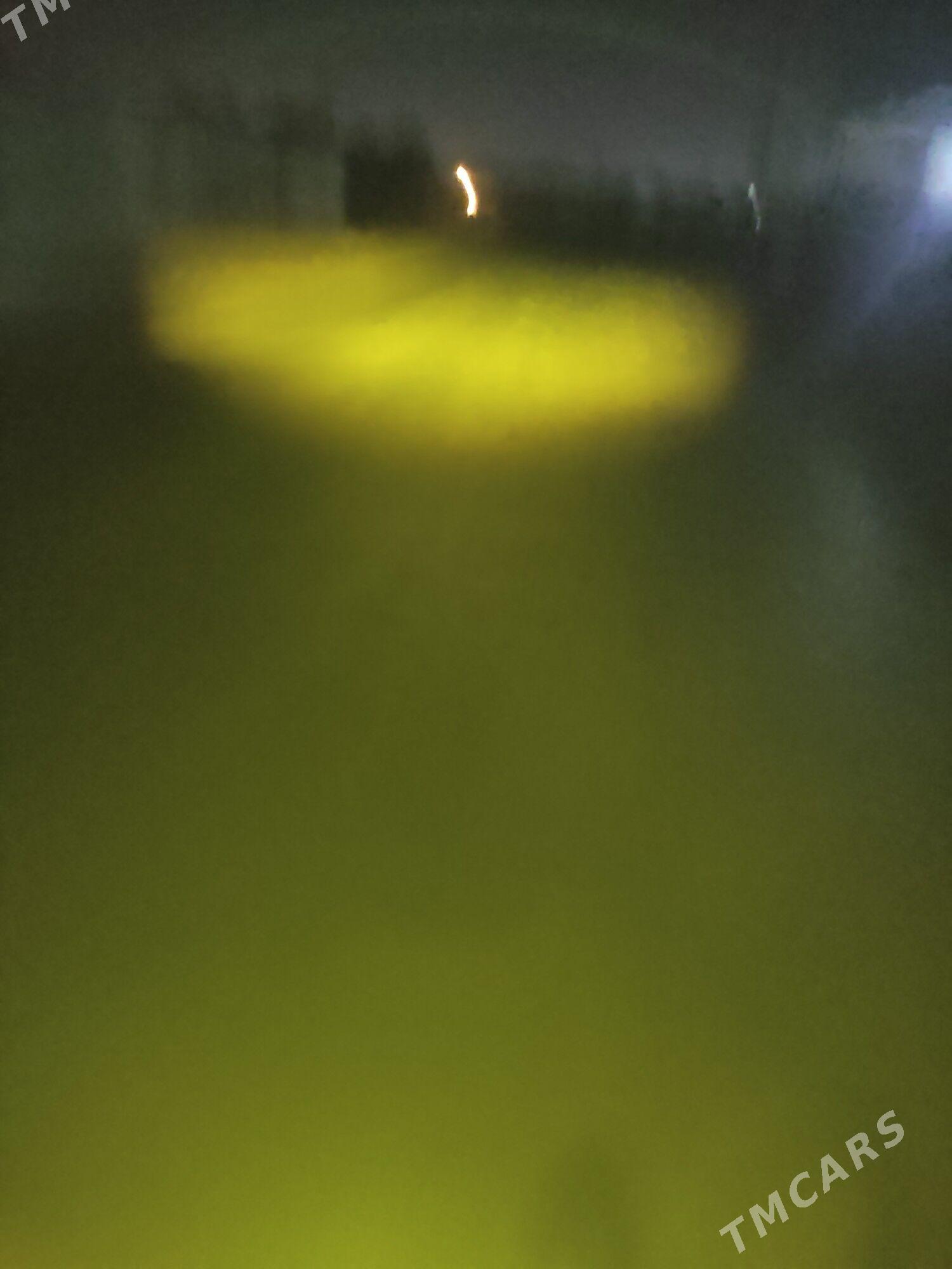 cyra - Murgap - img 1