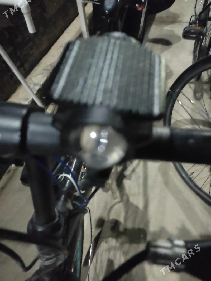 cyra - Murgap - img 9