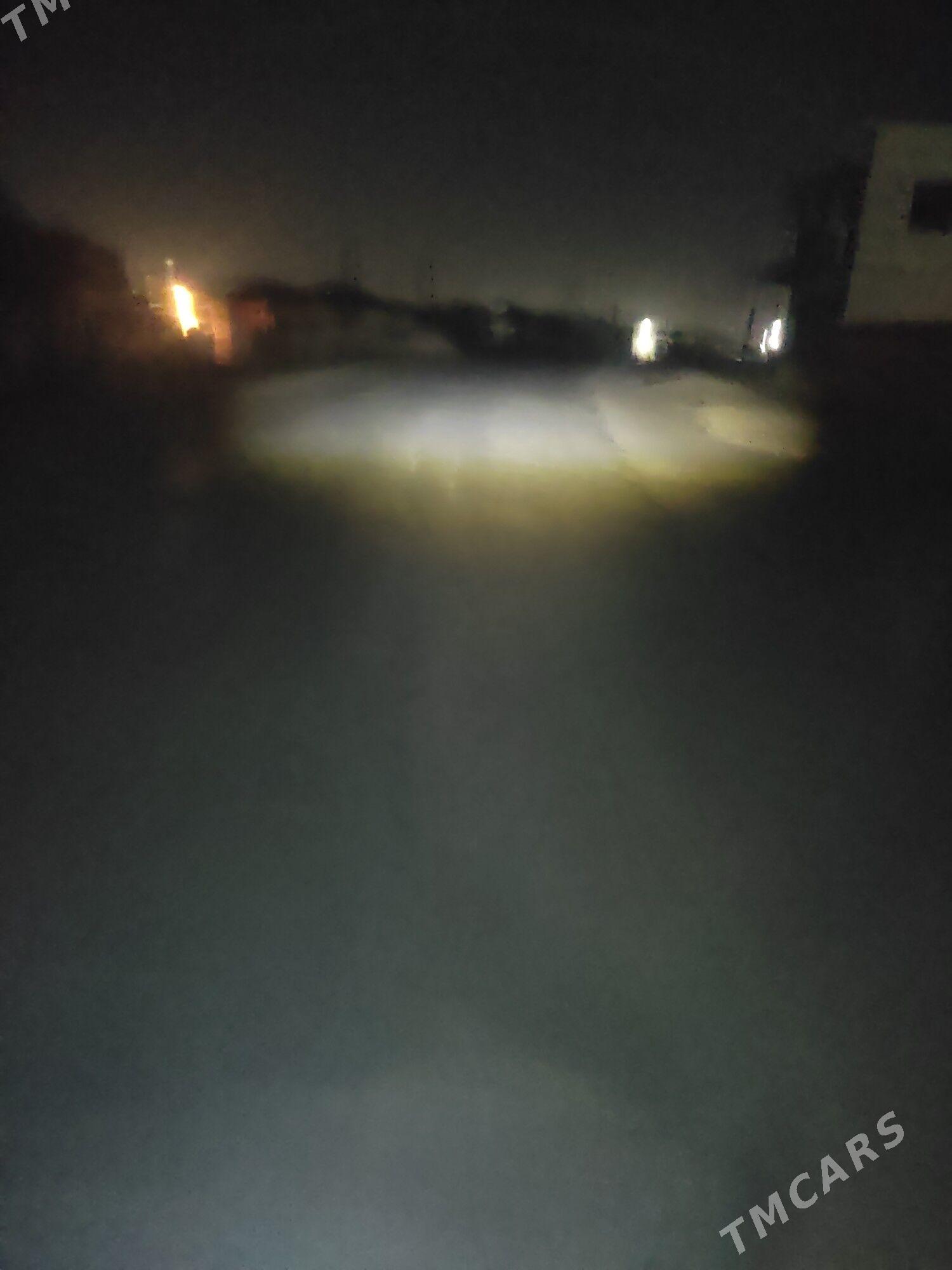 cyra - Murgap - img 2