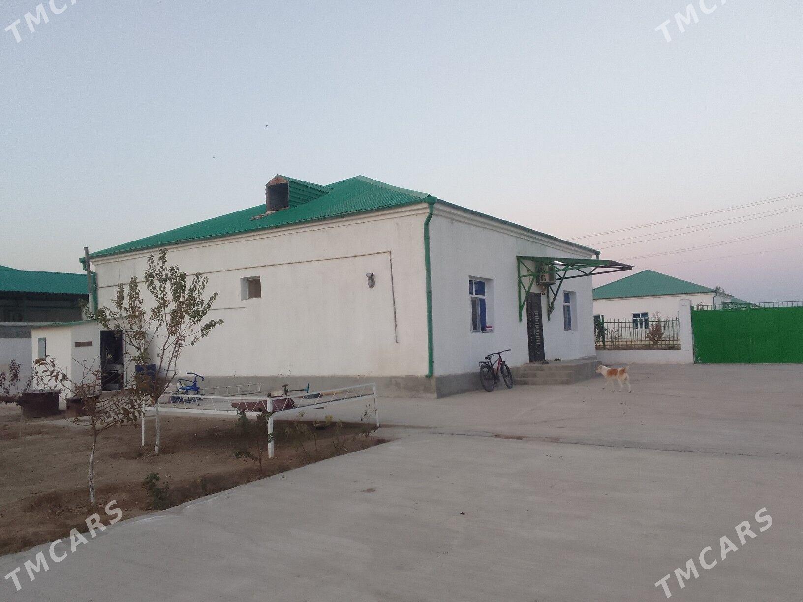 Gokdepe taze eyyam - Gökdepe - img 2