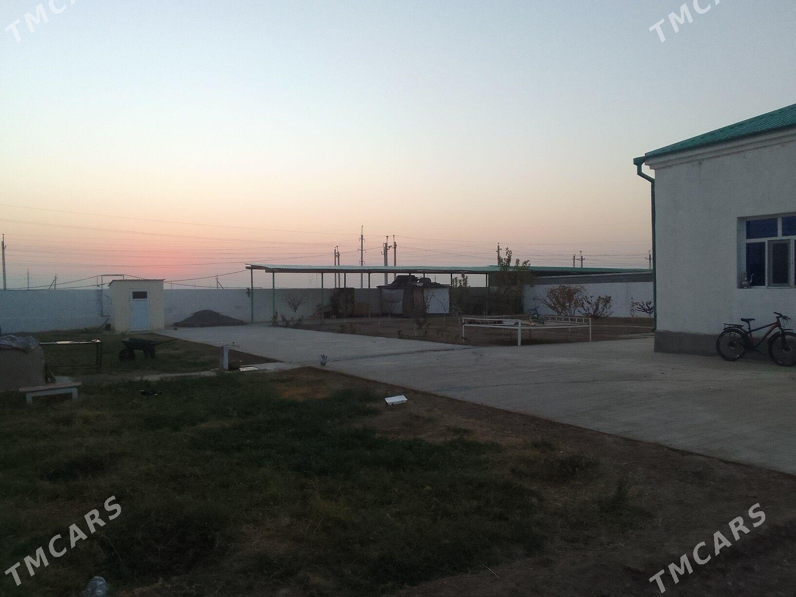 Gokdepe taze eyyam - Gökdepe - img 4