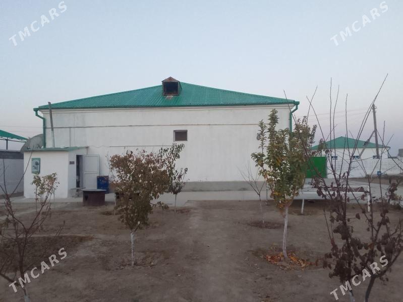 Gokdepe taze eyyam - Gökdepe - img 3