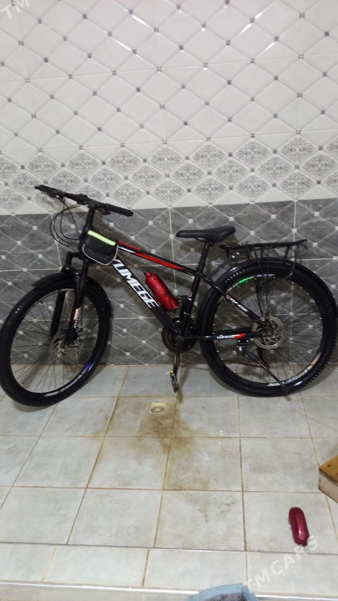 Welik - Köneürgenç - img 6