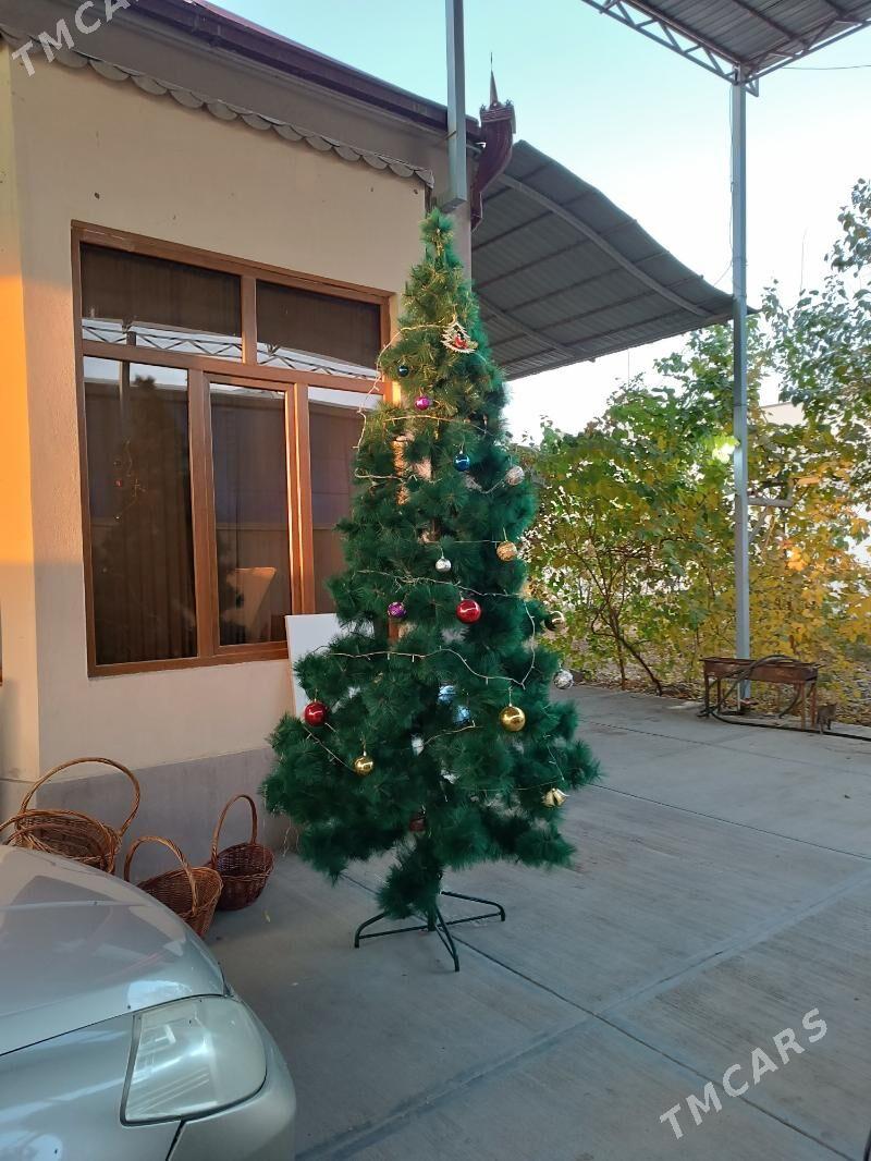 ёлка - Çoganly - img 4