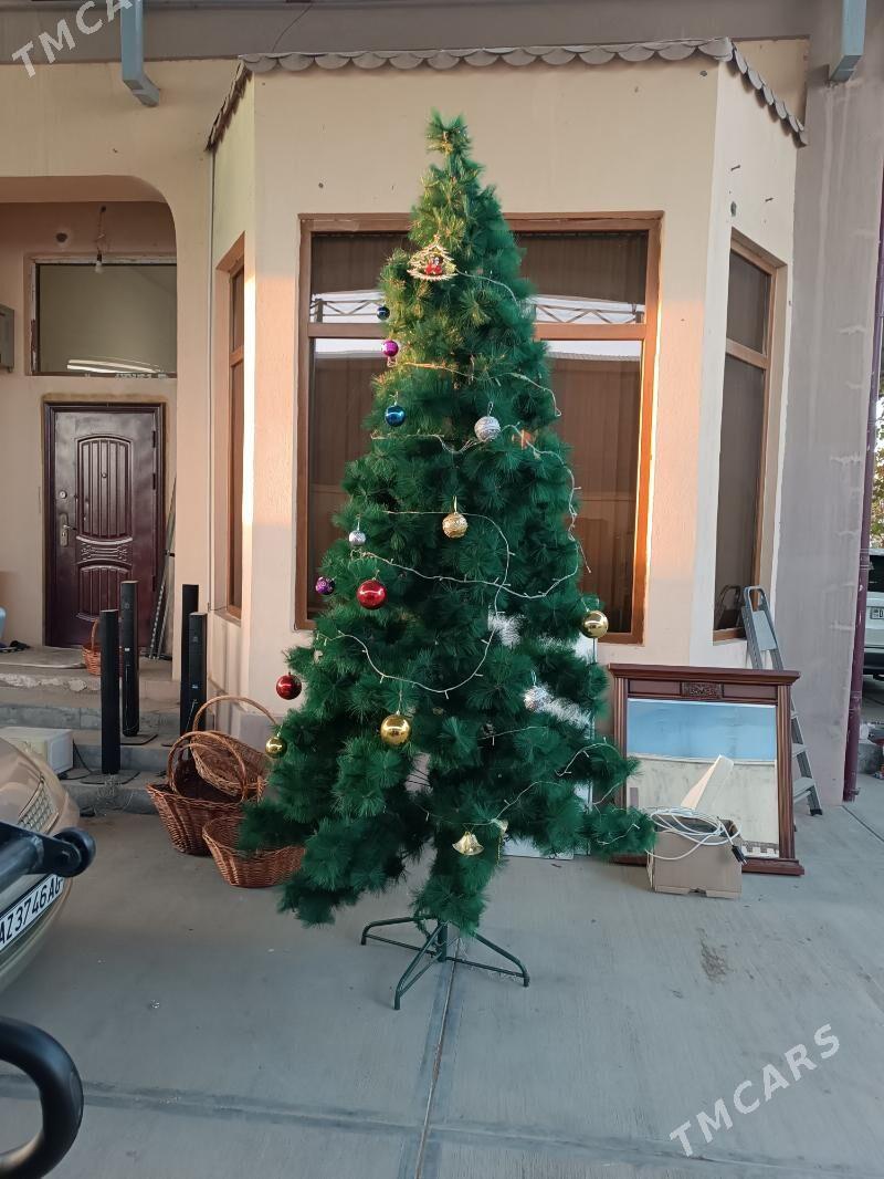 ёлка - Çoganly - img 2