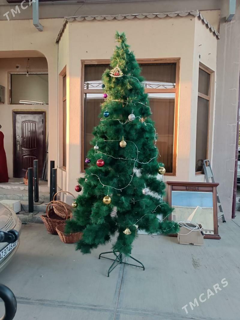 ёлка - Çoganly - img 3