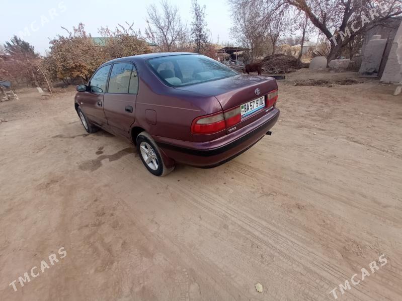 Toyota Carina 1995 - 75 000 TMT - Daşoguz - img 5