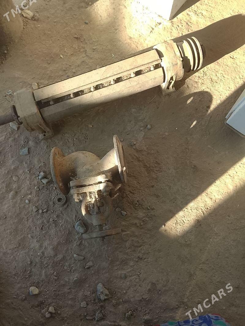 agaç jesgan - Aşgabat - img 2