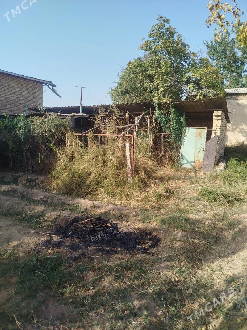 продаю дачу - Туркменабат - img 6