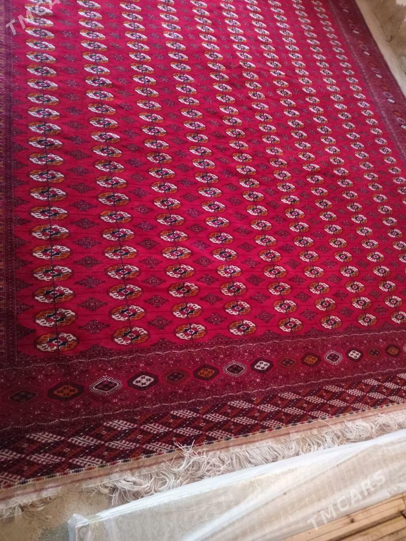 el haly 5/6 - Бахарден - img 2