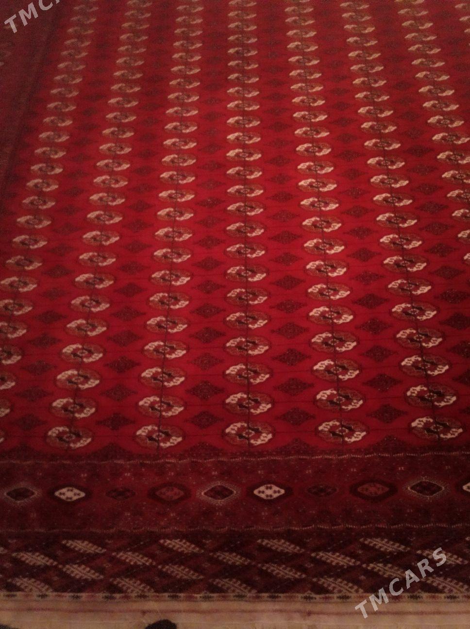 el haly 5/6 - Бахарден - img 3