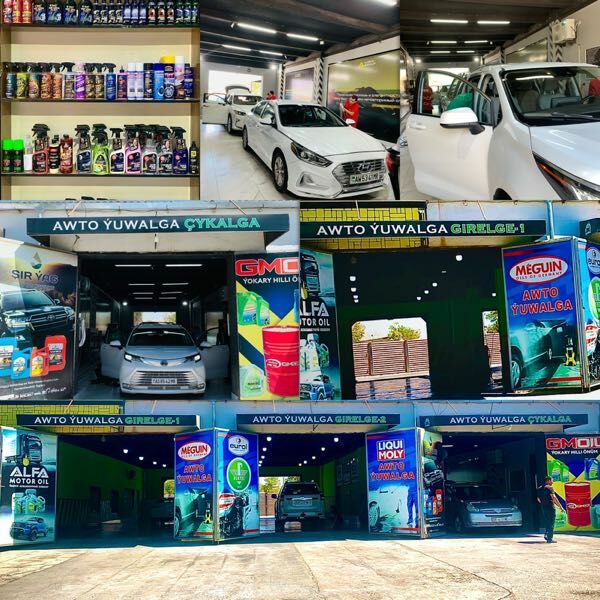 Awtohimçistka Oglan-Gyz iş - Mary - img 3